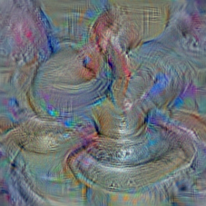 n03992509